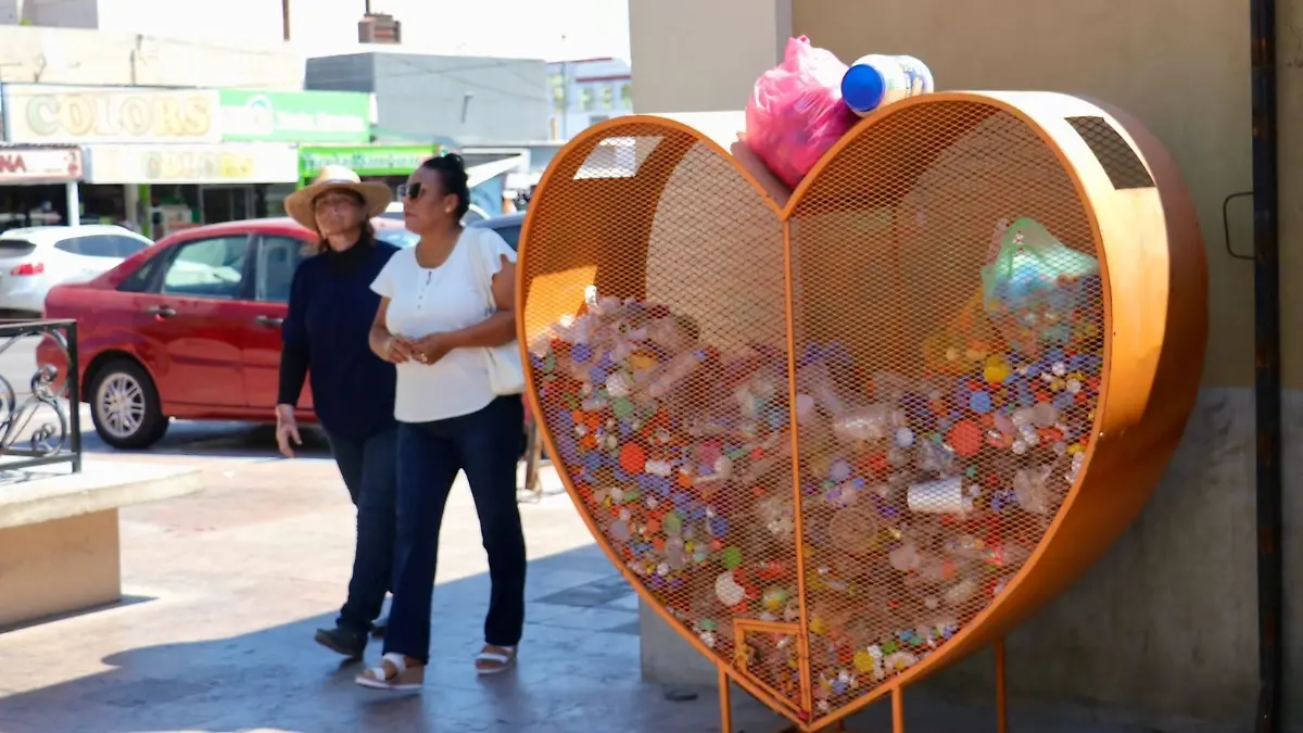 Contenedor para plásticos