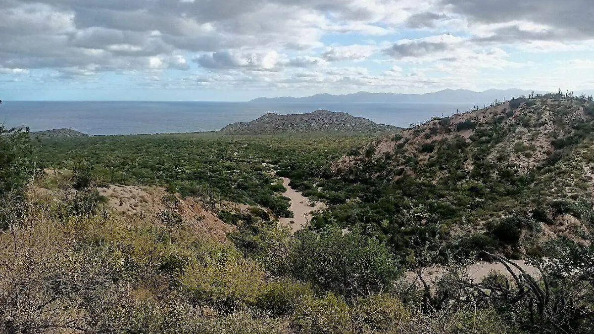 playa el saltito  (2)