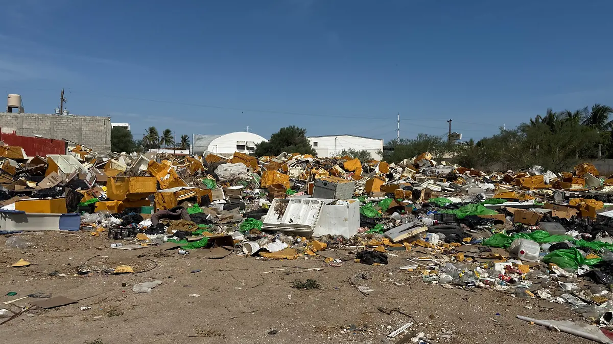 Basura tabachines - 2