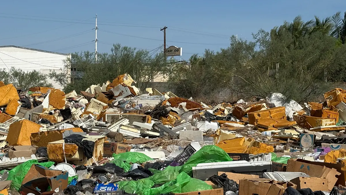 Basura tabachines - 3
