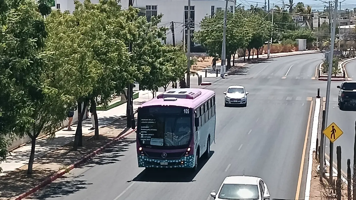 Añadir un título - 2026-08-08T221450.648