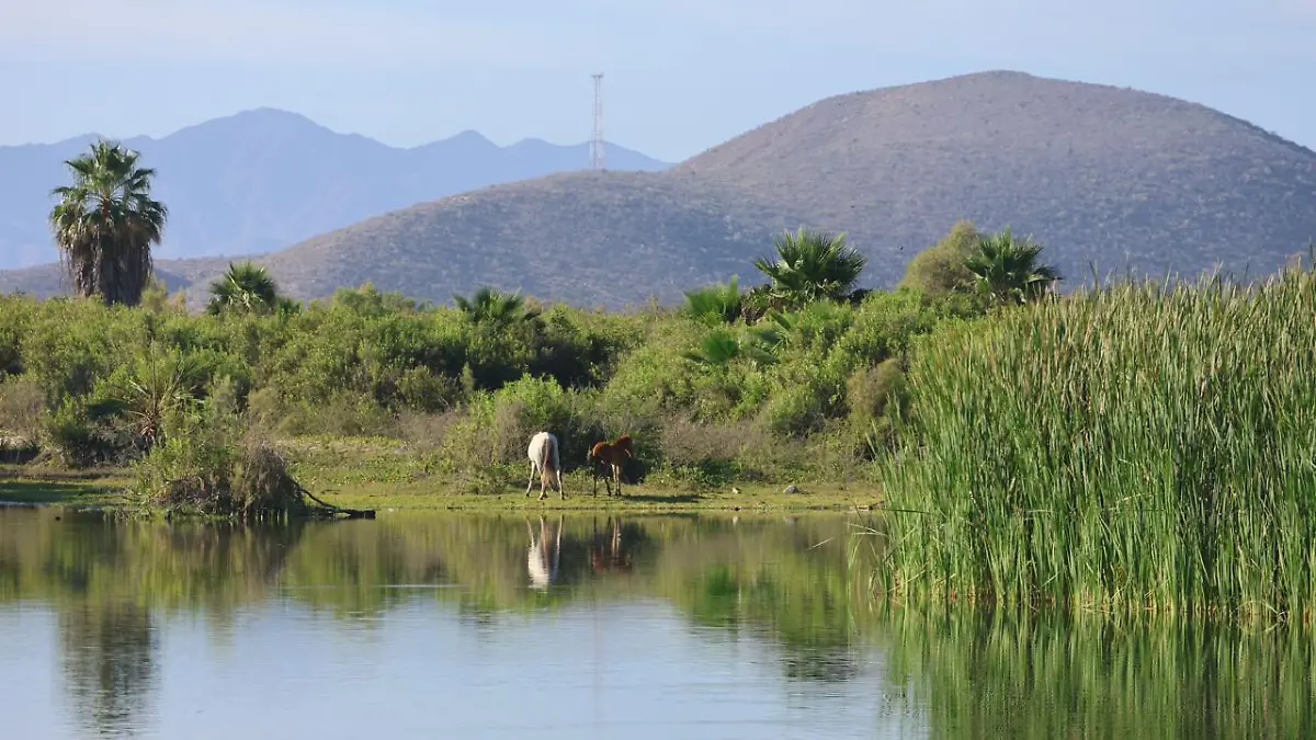 estero el surgidero 