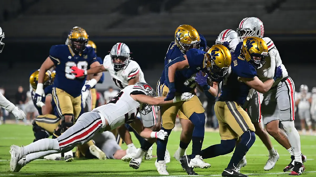 Pumas CU sigue con vida