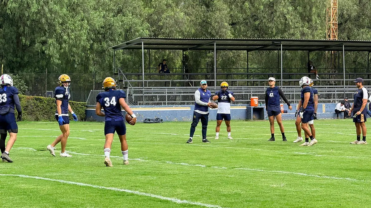 WhatsApp Image 2025 10 02 at 8.06.41 PM 1