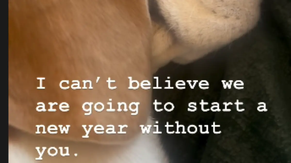 Captura de pantalla 2025 12 31 111303