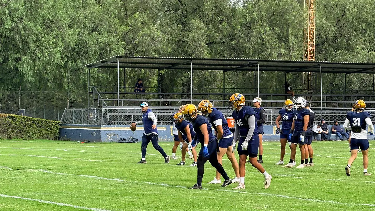 WhatsApp Image 2025 10 02 at 8.06.41 PM