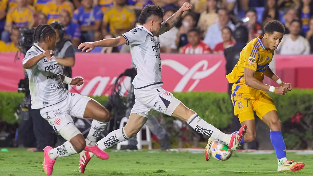 Liga BBVA MX Clausura 2025 Tigres UANL vs Necaxa CFV