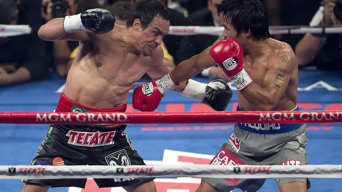 BOX PRINCI MARQUEZ