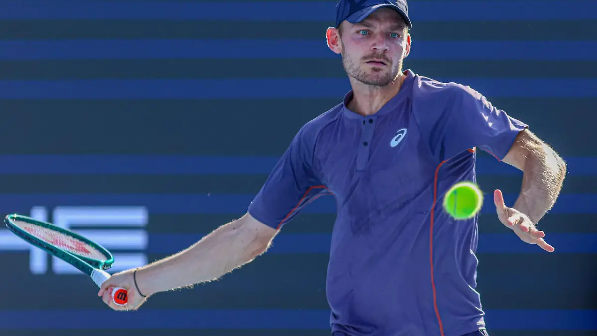 WhatsApp Image 2025 02 16 at 5.16.58 PM