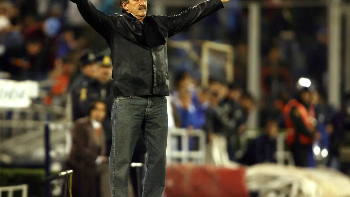 LIBER CUP LAVOLPE