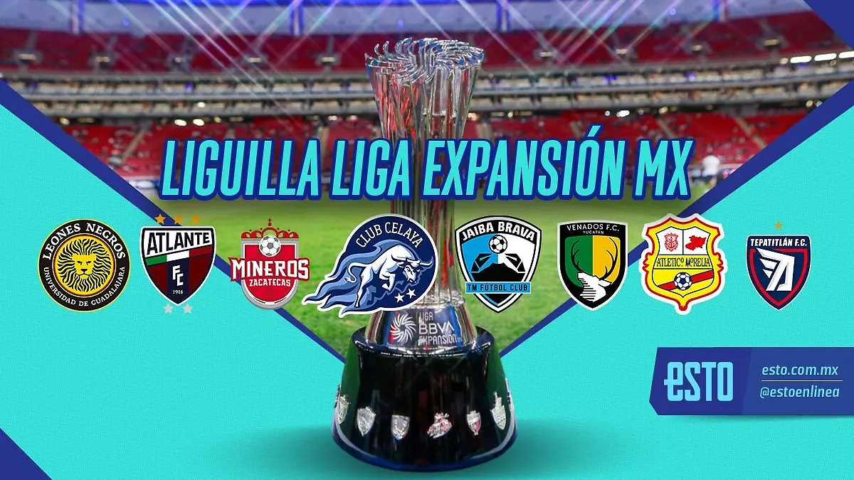 Liguilla de la Liga Expansión. Arte: Abril Hernández