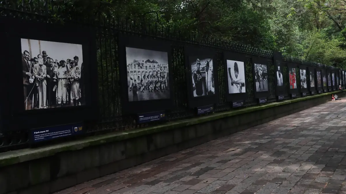 Se inauguró la galería de la LMB   Foto  Sarahí Melecio