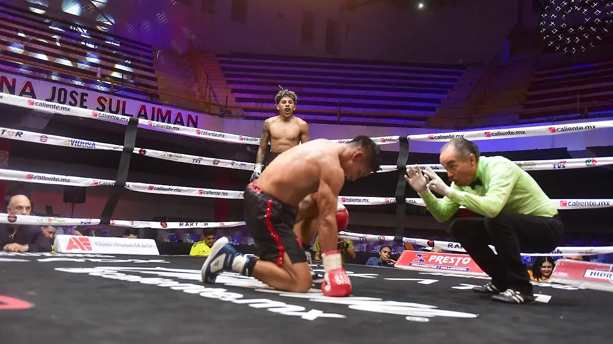 Mantequilla Napoles dejo en la lona a su rival