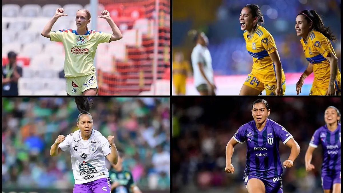 Tigres buscará el Bicampeonato en el Clausura 2024 / Fotos: Mexsport