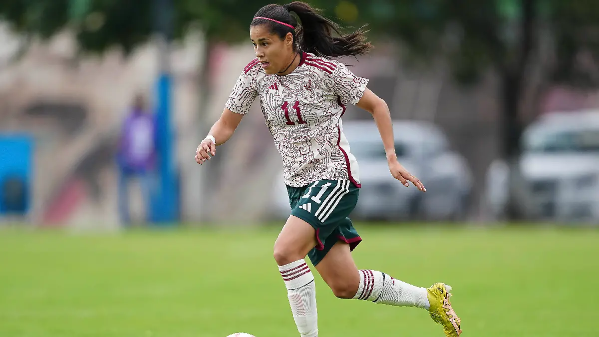 El Tricolor enfrentará un importante torneo / Foto: @miseleccionfem