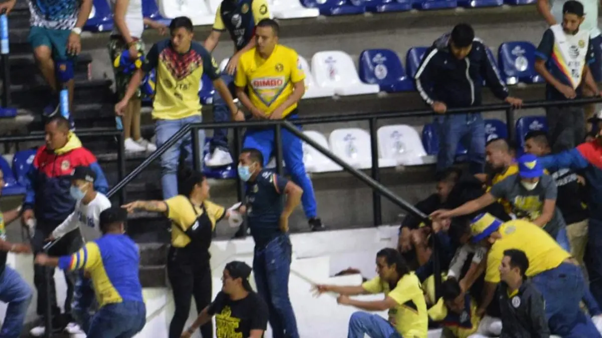 Pelea afición América