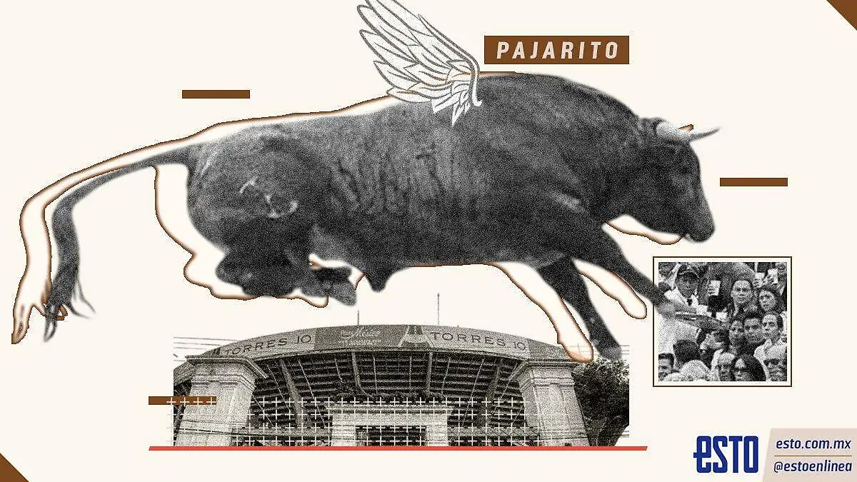 WhatsApp Image 2026-01-29 at 8.07.56 PM