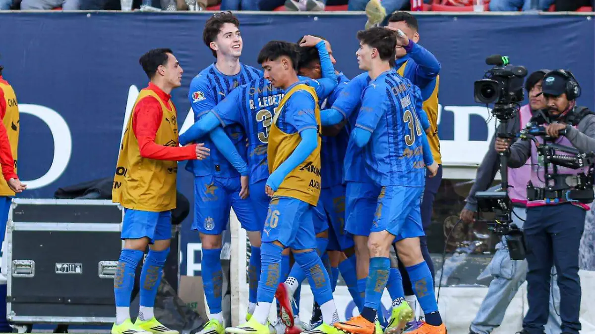 WhatsApp Image 2026-01-31 at 18.46.14