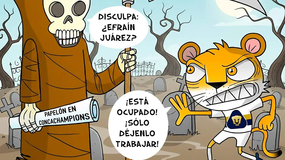 WhatsApp Image 2026-02-08 at 8.49.28 PM