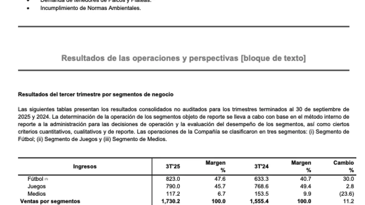 Informe Grupo Ollamani
