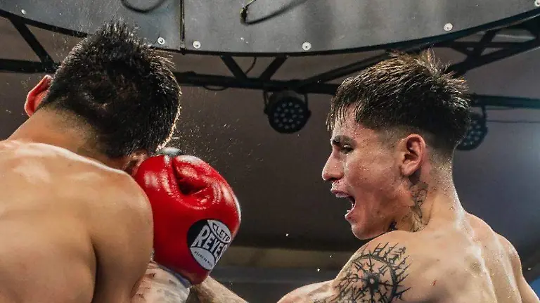 WhatsApp Image 2026-02-09 at 7.49.05 PM