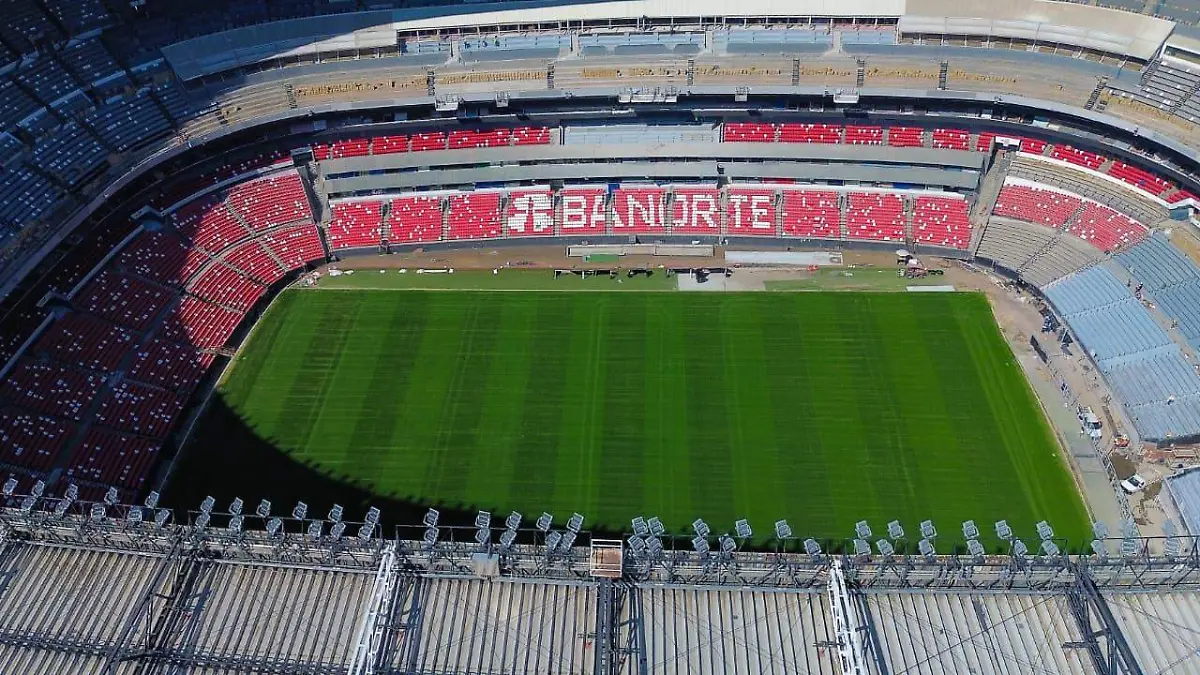 WhatsApp Image 2026-02-11 at 4.50.45 PM