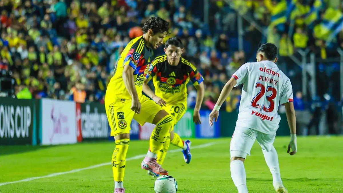 WhatsApp Image 2026-02-11 at 8.23.26 PM