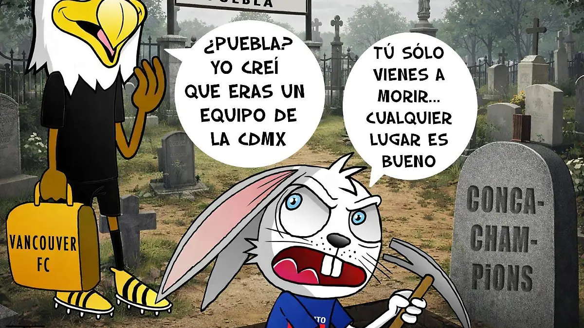 WhatsApp Image 2026-02-11 at 9.13.40 PM