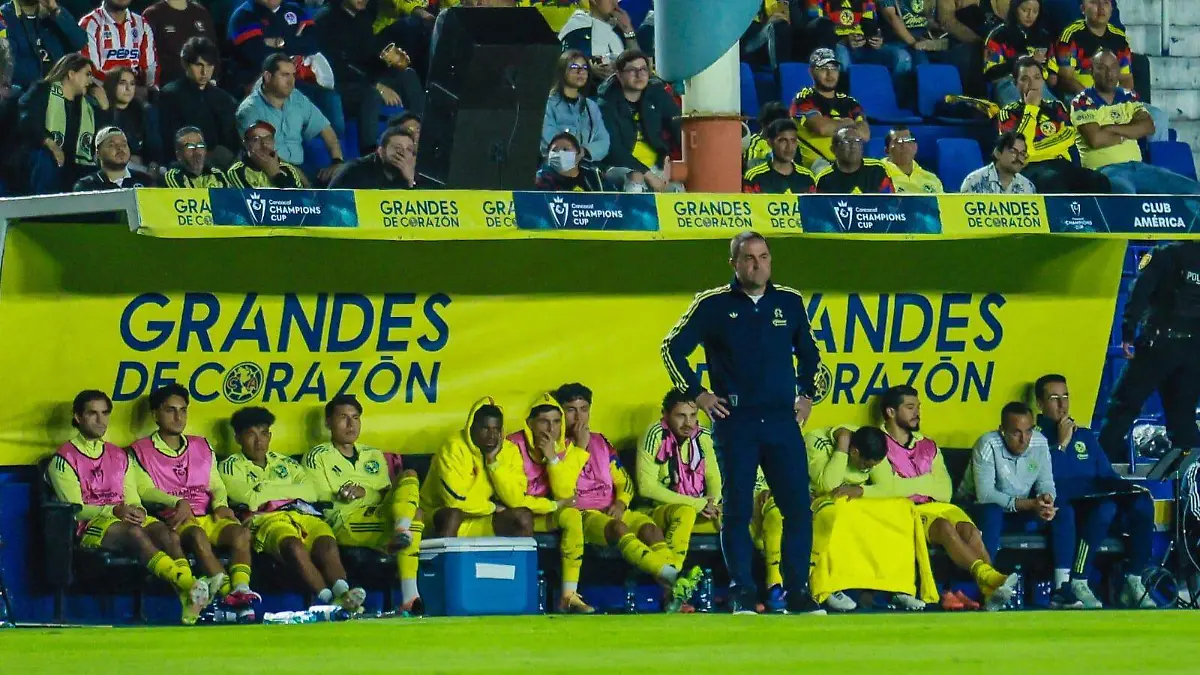 WhatsApp Image 2026-02-11 at 8.00.31 PM