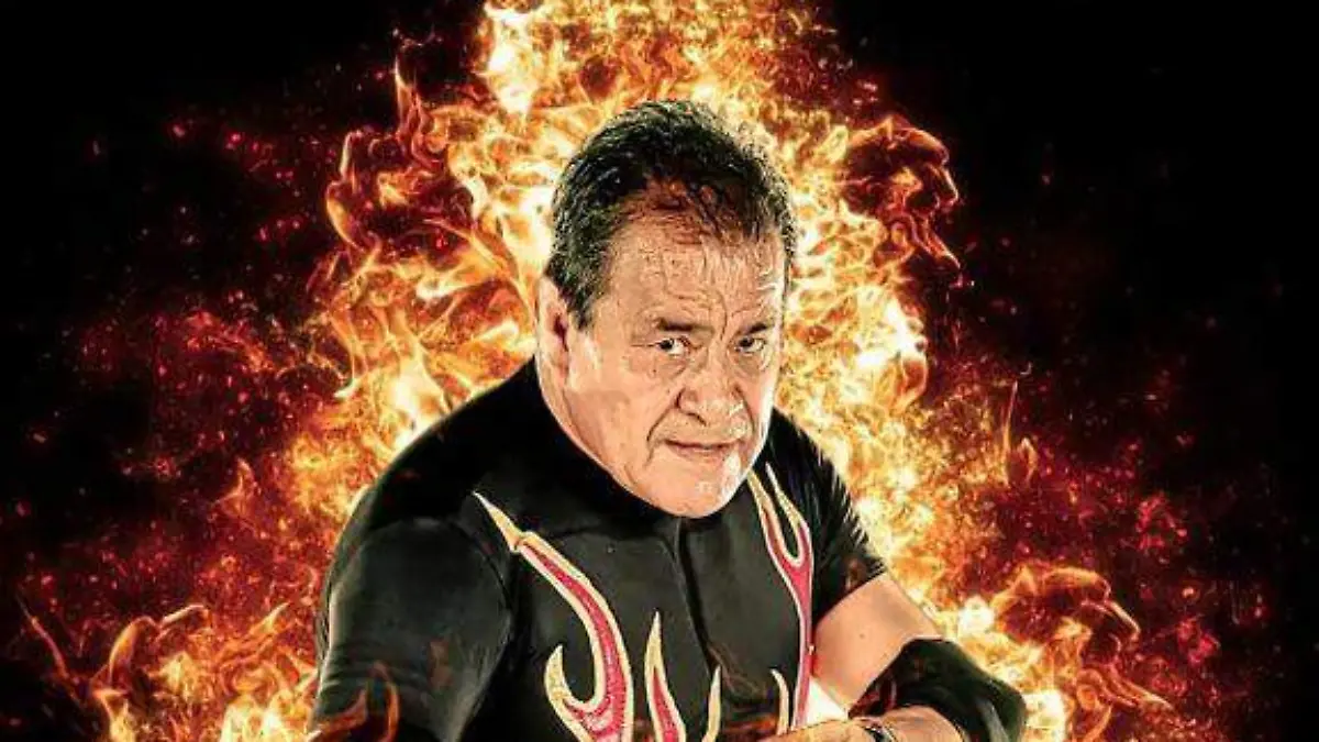 WhatsApp Image 2026-02-11 at 9.57.25 PM