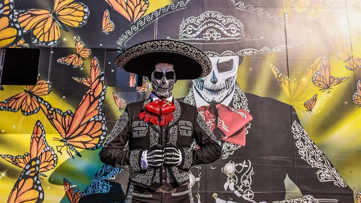 WhatsApp Image 2026-02-13 at 7.04.25 PM