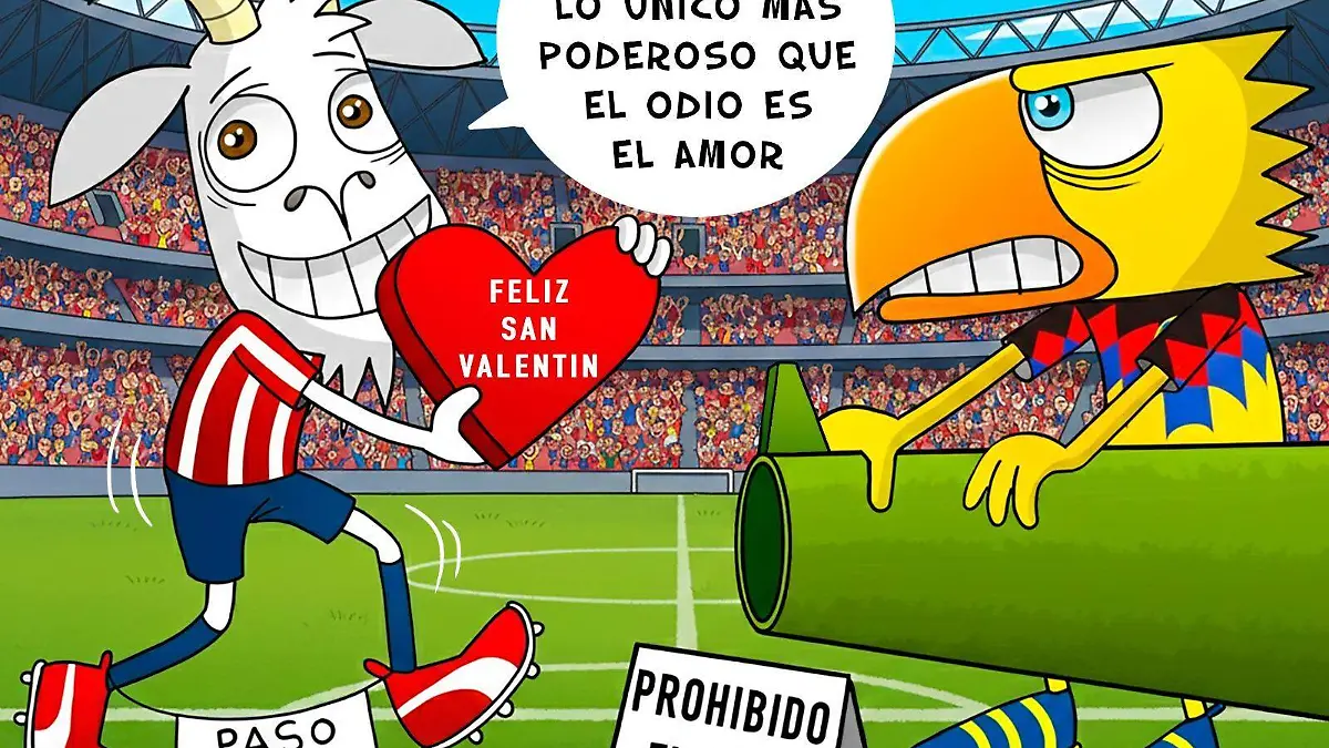 WhatsApp Image 2026-02-13 at 12.06.16 PM