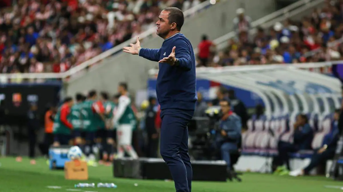 WhatsApp Image 2026-02-14 at 23.02.13