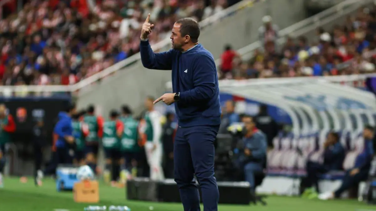 WhatsApp Image 2026-02-15 at 00.05.58