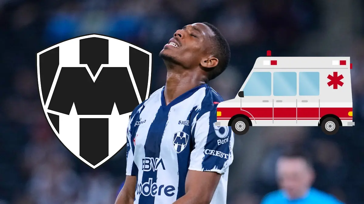 Proyecto nuevo - 2026-02-15T140142.620