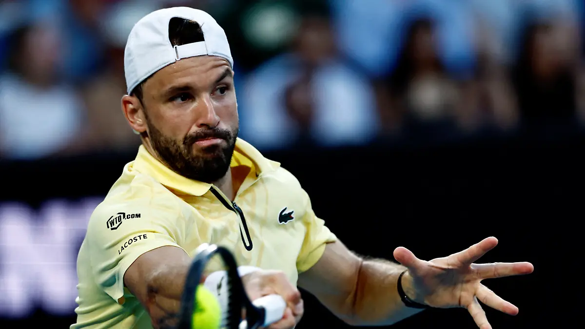 Proyecto nuevo - 2026-02-15T192648.099