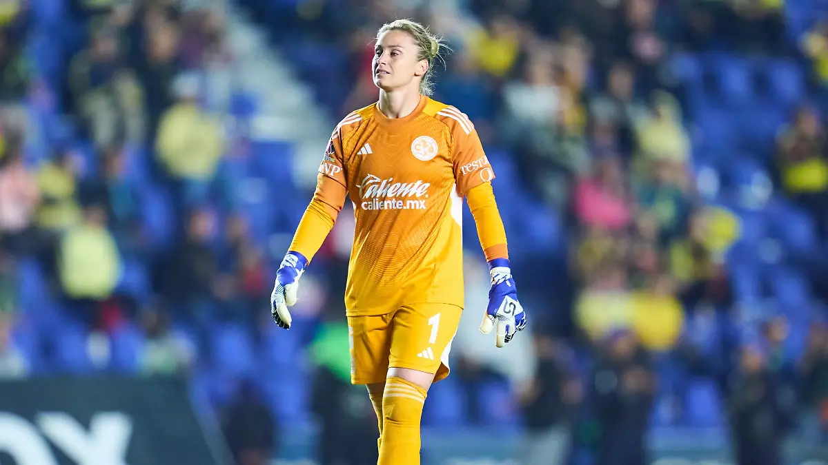 Proyecto nuevo - 2026-02-16T124922.033