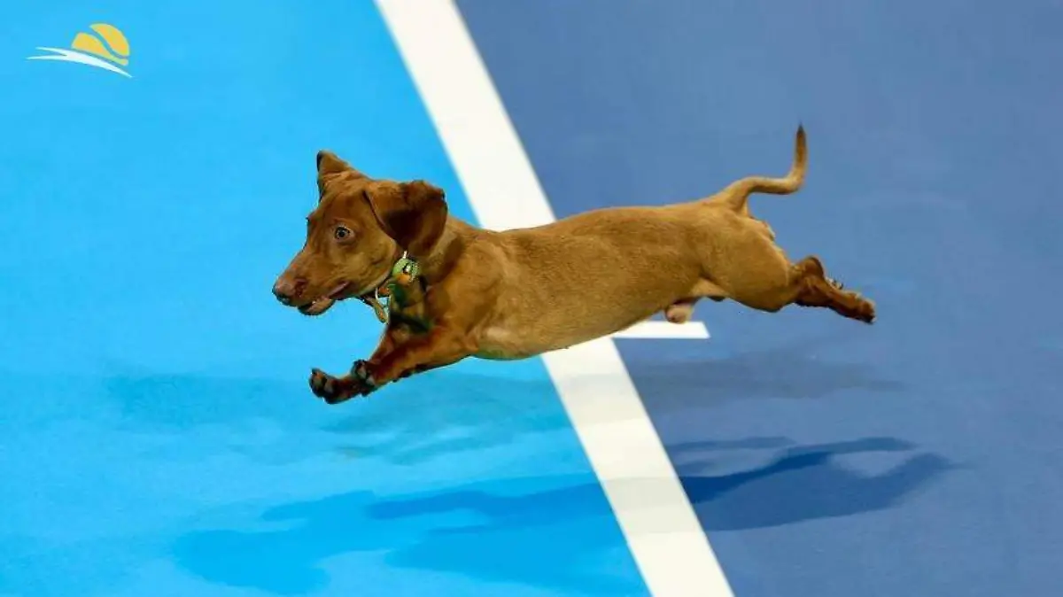 634070817_18561898357044401_362849172806719308_n