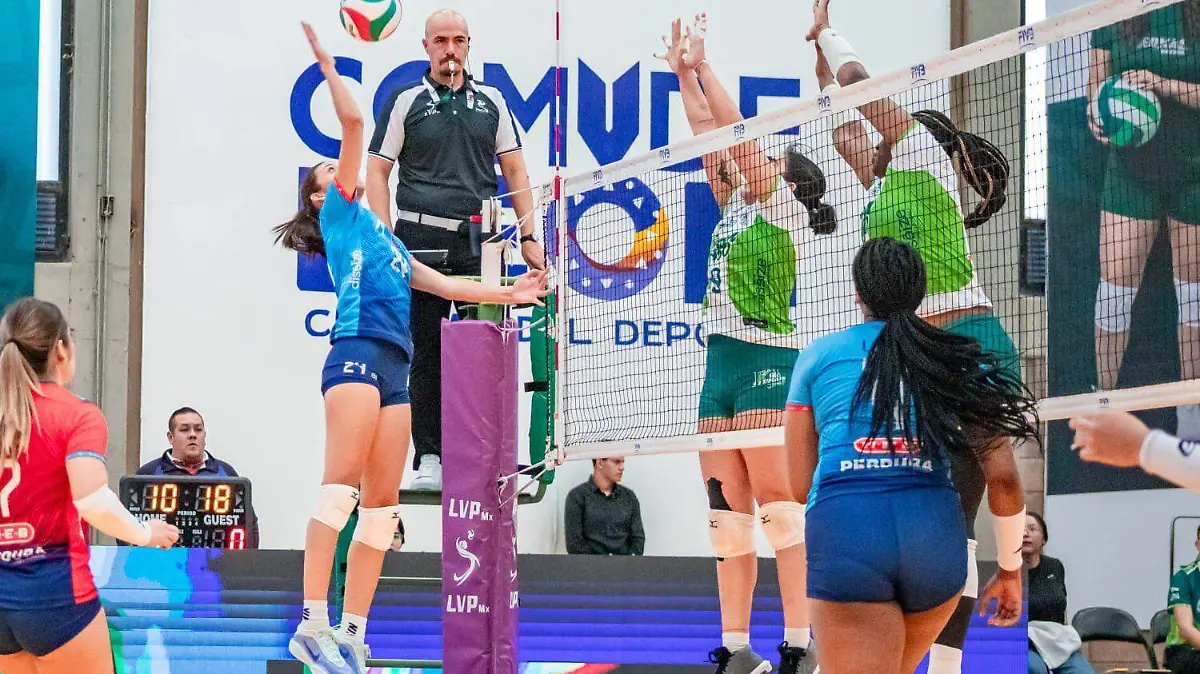 WhatsApp Image 2026-02-17 at 1.25.38 PM