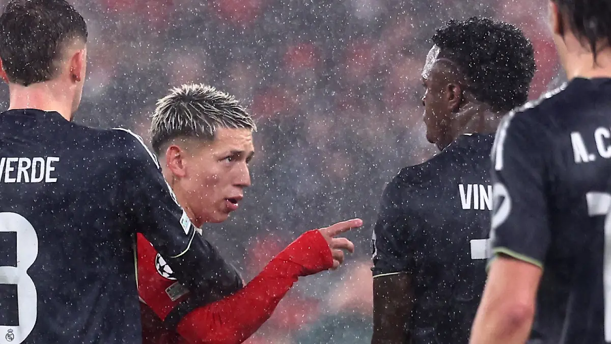 Proyecto nuevo - 2026-02-18T115010.967