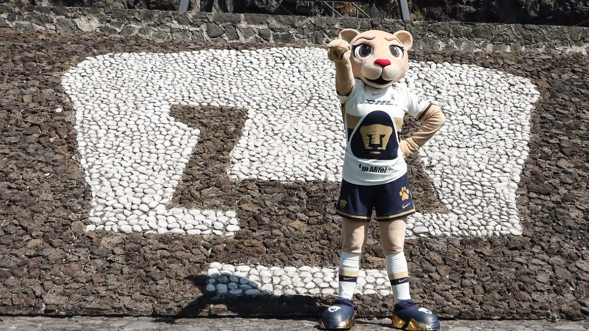 180226 Presentación Goya SM