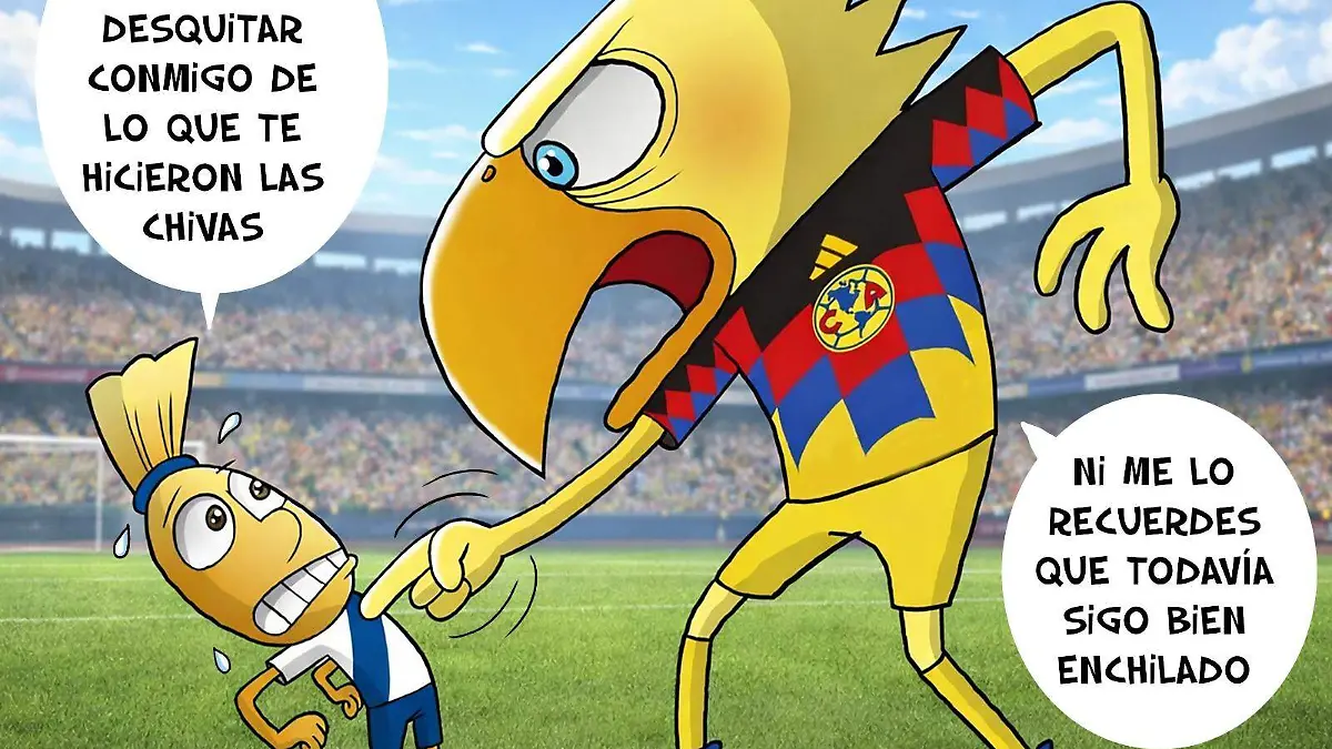 WhatsApp Image 2026-02-19 at 7.03.29 PM