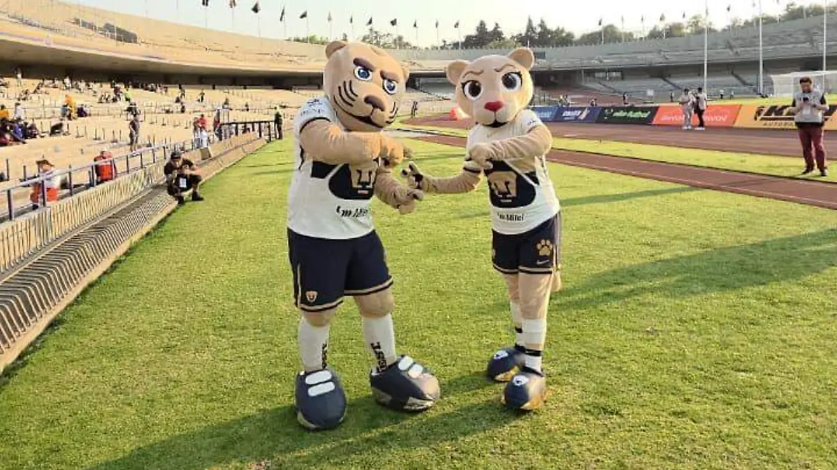 WhatsApp Image 2026-02-20 at 5.41.03 PM