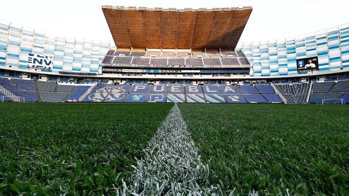 WhatsApp Image 2026-02-20 at 6.26.19 PM (1)