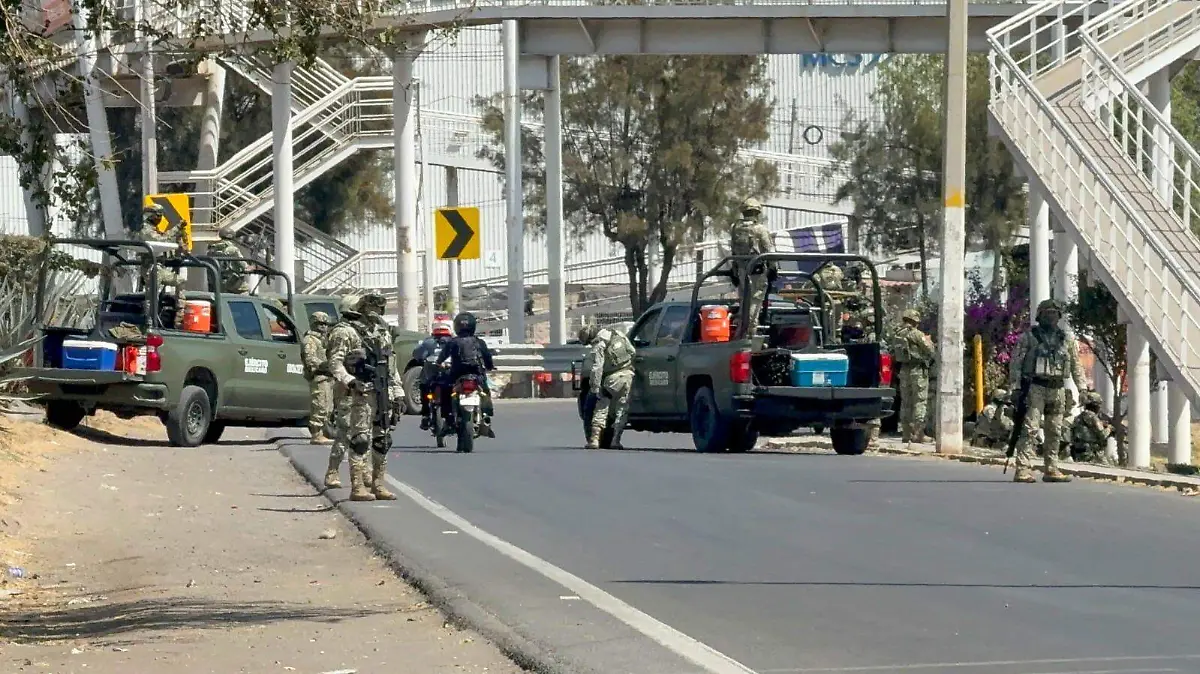 WhatsApp Image 2026-02-22 at 13.43.36