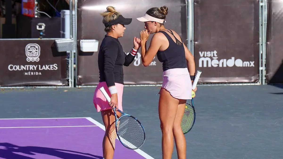 WhatsApp Image 2026-02-25 at 5.50.14 PM