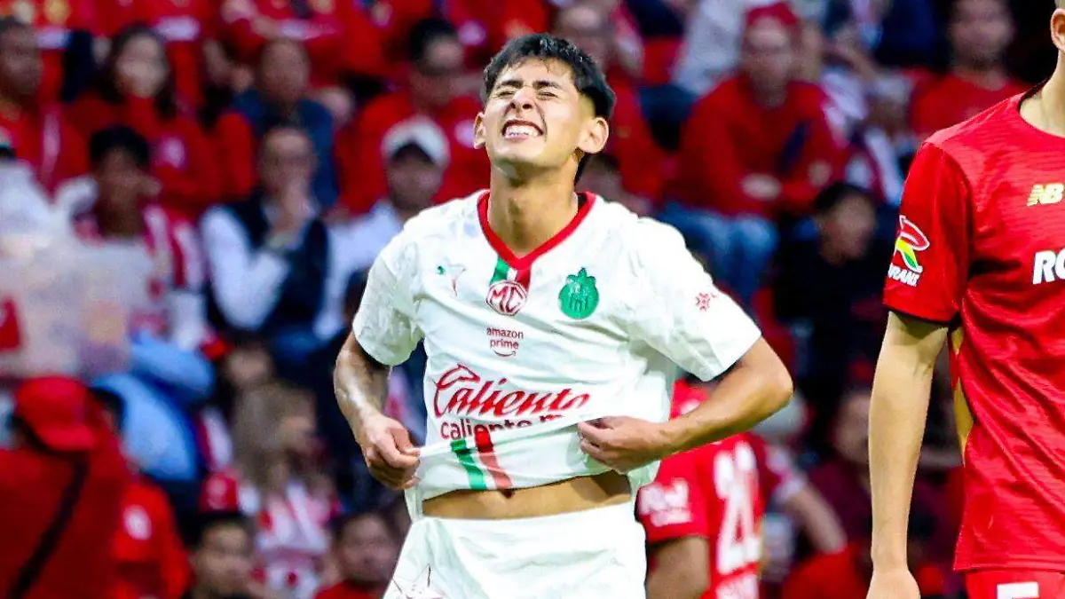 WhatsApp Image 2026-02-28 at 19.00.48