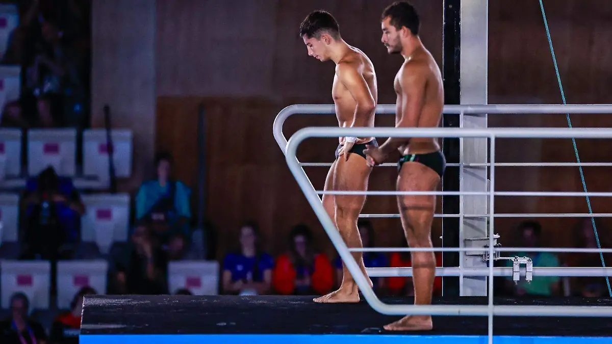 WhatsApp Image 2026-02-28 at 19.51.26