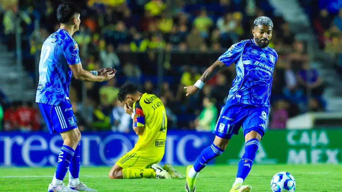 WhatsApp Image 2026-02-28 at 23.23.31