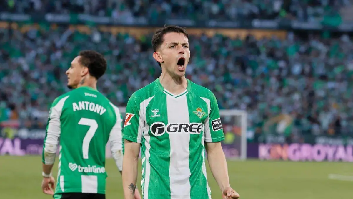 WhatsApp Image 2026-03-01 at 12.17.39 PM